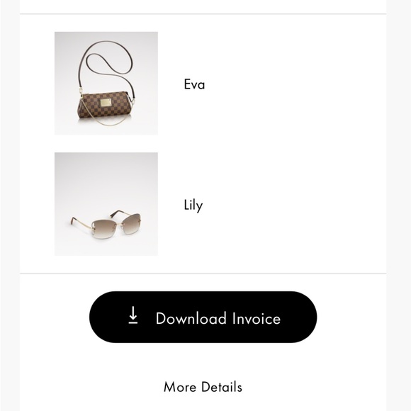 Louis Vuitton Gold and Brown Sunglasses - Picture 12 of 14